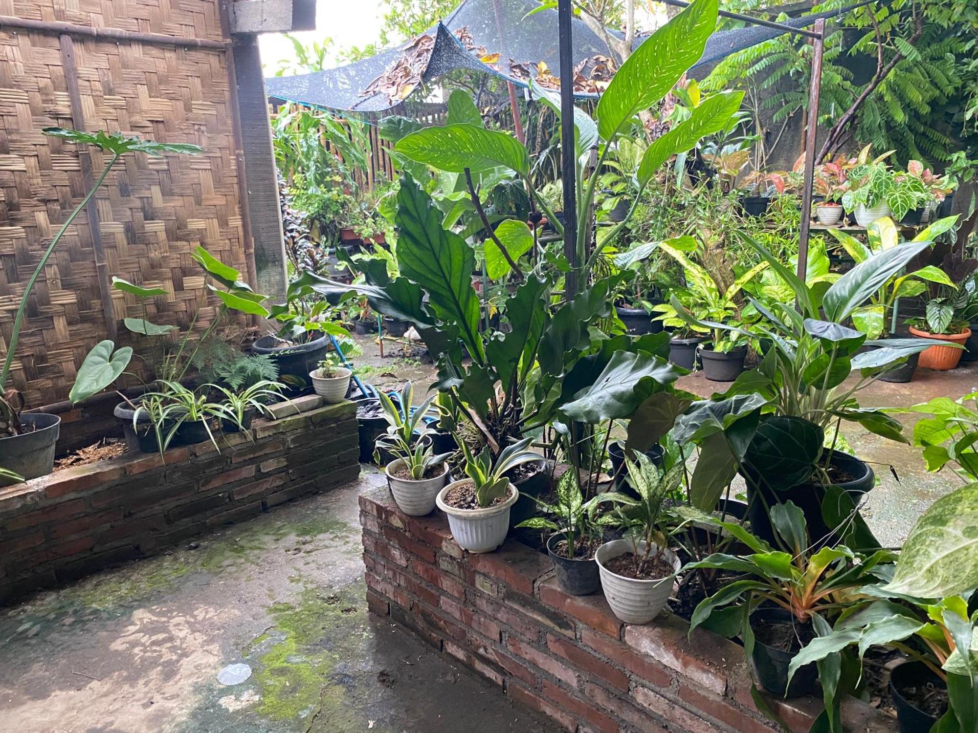 Ada Séjour chez l'habitant Magelang